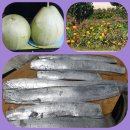 진가네농장 이미지