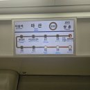 크로스핏붐 | 크로스핏 붐 김포크로스핏 드랍인 후기