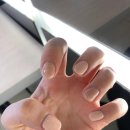 몽떼네일