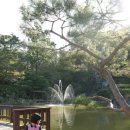 애니오토 이미지