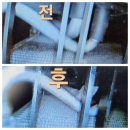 정상카세차장 | 대구 에바포레이터 세척 역대급 시공 후기 아반떼HD 에바크리닝