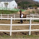 자연농수산 Daum카페