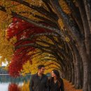 올곧바른치과의원 이미지