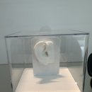 박진우 보청기·윤소희 청각재활센터 광주점 이미지