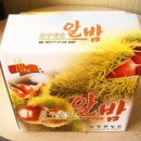 늘밤농원 네이버블로그