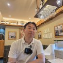 메트로폴관광호텔 | 스페인 남부 여행 2026년 봄 세비야 - 스페인 광장, 세비야 대성당, 히랄다탑, 알카사르, 메트로폴 파라솔