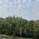 녹원쌈밥 이미지