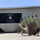 손오공 | 하이록스 2026 HYROX KOREA 송도 컨벤시아 후기｜손오공 회원들도 출전!
