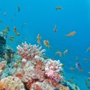 한국수산질병관리원 이미지