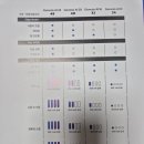 비티알신모라점