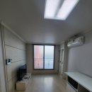 신대매안초 이미지