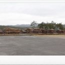 여송목재 이미지