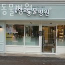 신당 좋아요 동물병원 | 중구 신당동 동물병원 좋아요동물병원 위치 오는길 후기