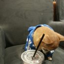 토토모텔 네이버블로그