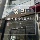 기장동물병원 | 정관 주말에도 영업하는 아산동물병원 방문후기