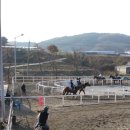 레이크밸리승마클럽 이미지