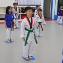 경희대에이스태권도장 네이버블로그