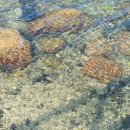 모래성 한옥 펜션 이미지