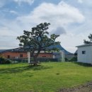 문화민박 이미지