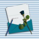 세탁한마당 이미지