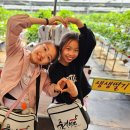 옥정목장 이미지