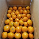 다미농장 이미지