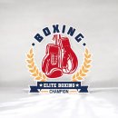 엘리트 복싱 Gym 이미지