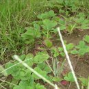 과림농장 이미지