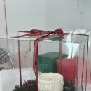 시즈더케이크(seize the cake)