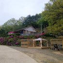 천신약사암 네이버블로그