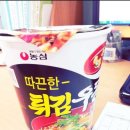 맛있는 라면 순위 BEST 5 이미지