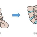 위필라테스+ | 위필라테스