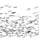 하나부동산중개법인 이미지