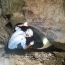 (주)보광제주 이미지