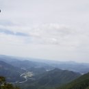 금산인삼직매장 - 중구 | 금산인삼직매장