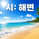 해변 티스토리