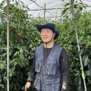 선한농부 이미지