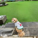 싱글멍글 이미지