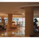 발리스파테라스5 이미지