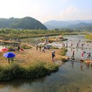 봉평메밀밭 이미지