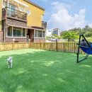 바닷가로뎀나무펜션 이미지