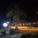 제주로와 이미지