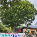 여울식당 | 영월 사람없는 관광지 추천, "동강여울식당"과 강변