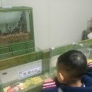 양덕어린이집 이미지