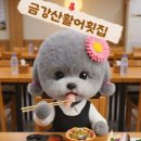 금강산활어