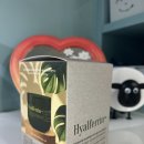 메드스파인(주) | [헤어템] 히알페린샴푸-바이오젠 포어 그랩 샴푸 솔직 후기, 사용감, 전후비교