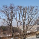 글사랑방 이미지