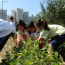 산돌태권도 이미지