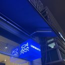 홍금동물병원 | 마곡 우미마토 오마카세