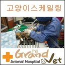 그랜드 동물병원 이미지